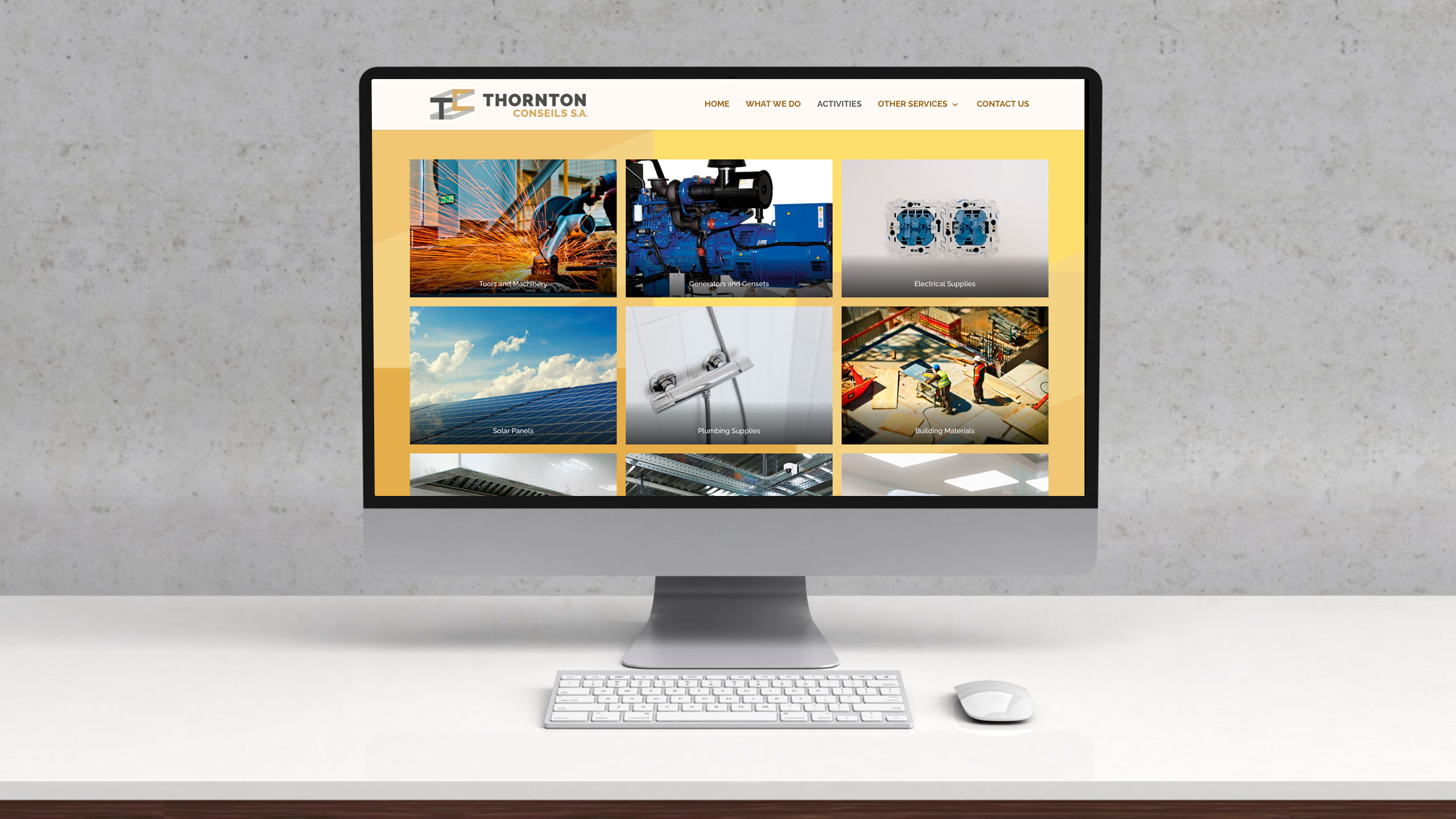 Thornton Conseils web site activities page